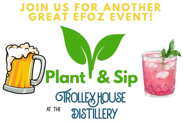 Plant & Sip